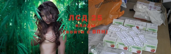 марки lsd Новозыбков