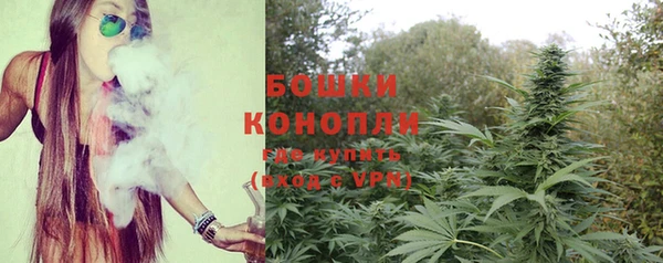 мдма Новодвинск