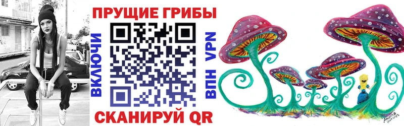 купить наркоту  Трёхгорный  Псилоцибиновые грибы мицелий 